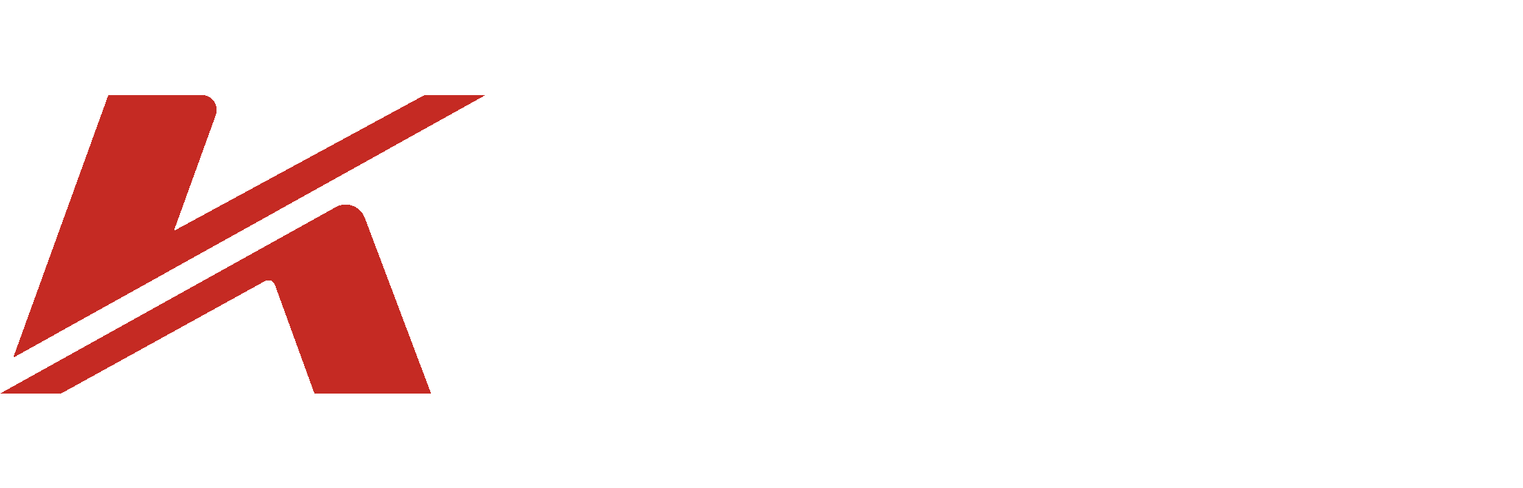 Kenda Tires